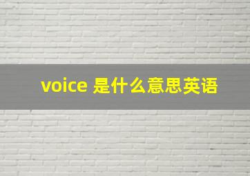 voice 是什么意思英语